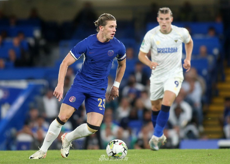 乓球的整体 乓球的整体